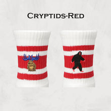 画像をギャラリービューアに読み込む, DECKA QUALITY SOCKS  Skater Socks Embroidery - SHOWATABÉ by BRÚ NA BÓINNE デカ クオリティーソックス(Cryptids-Red)(Art-Blue)(Video Game-Olive)