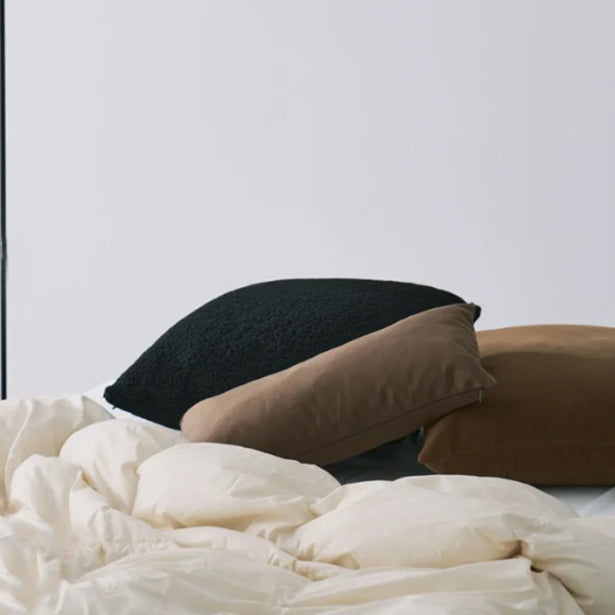 TAION タイオン ルームダウン 超軽量 800FP 羽毛布団 クッションカバー