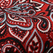 将图片加载到图库查看器,JELADO - BD Aloha Shirt Paisley Pattern (Old Red) (Old Blue) 【SG52115】