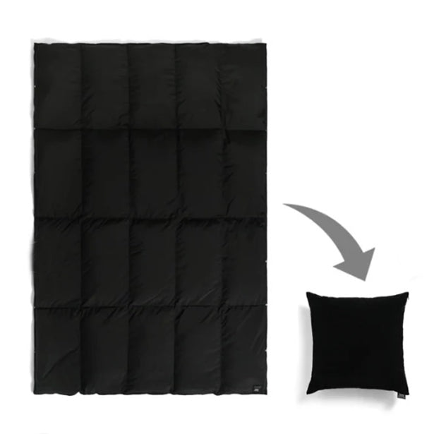 TAION タイオン ルームダウン 超軽量 800FP 羽毛布団 クッションカバー付き（セミダブルサイズ〜）（BLACK-BOA）[TAION-H210W145-DIC]